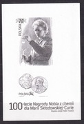 2011/Marie Sklsdowska-Curie - .czarnodruk/niekasowany