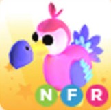 NFR Dodo "Adopt me" roblox