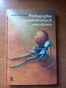 Janina Wyczesany, Pedagogika upośledzonych umysłowo
