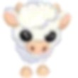 Angus Calf Adopt Me AM
