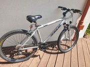 Rower ARKUS VIP 1001 17"