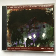 Steve Swell's Unified Theory of Sound - This Now!