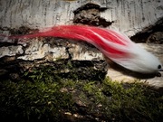 Streamer Szczupakowy 15CM