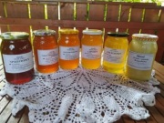 Miód Pszczeli - prosto z pasieki 