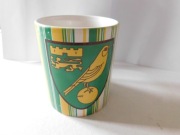 KUBEK NORWICH CITY FC ANGLIA