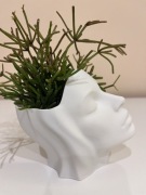 Doniczka Dekoracyjna Głowa Twarz Kobieta Biała 10 cm wys. posiada drenaż