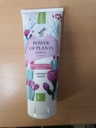 olejkowy żel pod prysznic z opuncją wygładzający lirene /02/26