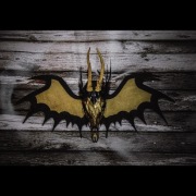 Rękodzieło. Ozdobaz czaszki kozła sarny z porożem.