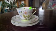 Trio Shelley England Fine Bone China Wild Anemone R13977 (1077)