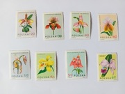 Polska znaczki 1965 kwiaty storczyki czyste