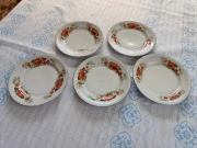 Talerze ROMAN Chodzież kwiaty 5 szt.