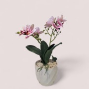 Sztuczny storczyk, dekoracja, prezent