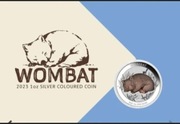 Australijski Wombat 1 uncja srebra 2003 color 