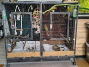 Duża klatka dla papug Savic Tasmania 120 Woliera 