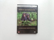 Wśród Szympansów: W poszukiwaniu genów człowieka DVD