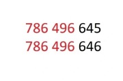 Złote numery para numerów Łatwe numer NJU Mobile dla firm
