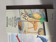 Wybrzeża morskie przewodnik Mały atlas twarda 