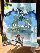 Horizon forbidden West. Metalowy obraz
