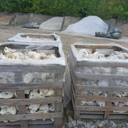 Wapień Filipiński Kamień do ogrodu i akwarium Marianna Kora Granit Jaworzno