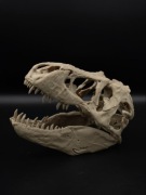 Czaszka t-rex ozdobna