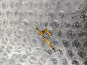 Taśma przycisków  | Motorola Moto G62 5g 