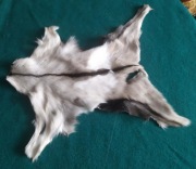 Skóra kózka garbowana futerko z małej pięknej kozy NOWE futro