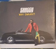 Shaggy - Wah Gwaan ?