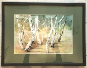 Akwarela. Obraz w passepartou,w ramie.