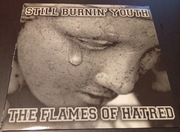 Still Burnin'Youth, hardcore, oi 