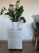 Komoda na kółkach biała Ikea Malm 42x59 cm
