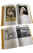 UNIKAT - Konie arabskie - Asil Arabians: The Noble Arabian Horses