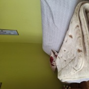 Kołdra wełniania Polanna, zestaw 100%wełny w runie