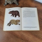 Ssaki Polski W. Serafiński atlas 1965 r.