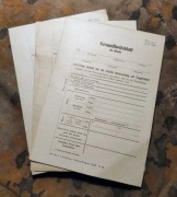 Gesundheitsblatt (G-Blatt), karty zdrowia, Wehrmacht - piękny stan!