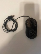 TAKE.ME MYSZ EAGLE USB PODŚWIETLANA KTM 45121
