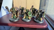 Dark angels deathwing knights