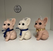 Buldog francuski świeca sojowa prezent box kokardką