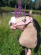 KANTAR DLA HOBBY HORSE A4 RÓŻOWY Z FUTERKIEM