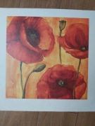 3 obrazki do ram. Kwiaty, czerwone maki. 40x40 cm