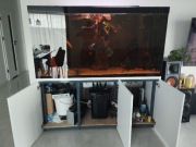 Sprzedam Akwarium 1000L