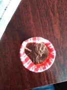 Rolka bankowa 1 cent Lincoln USA 2019 P