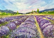 Pole lawendy w Prowansji. 30/42cm. Original Akwarela A3