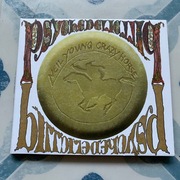Neil Young With Crazy Horse - Psychedelic Pill 2CD