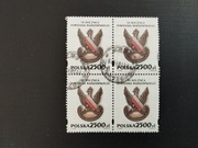 Fi 3352 Czwórka / Rocznik 1994