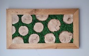Dębowa ramka, obraz z mchu chrobotek handmade, prezent 