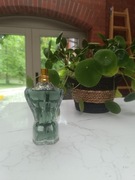 Perfumy Jean Paul Gautier Le beau paradise garden 