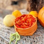 Woreczek węchowy - DYNIA- mata węchowa w woreczku - 15 cm