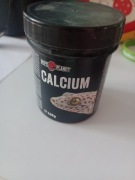 Wapno dla gekona