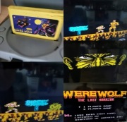 Gra pegasus cartridge -#40-Werewolf