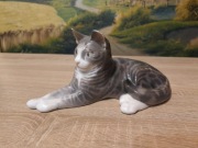 Kot Royal Copenhagen 1025